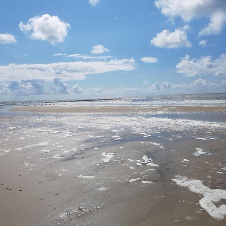 Romantisch Huisje Nabij Het Strand Met Uitzicht Op De Tulpenvelden Julianadorp Exteriér fotografie