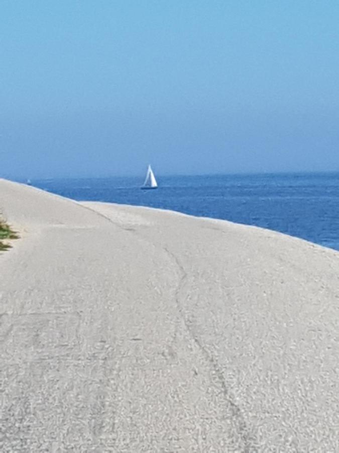 Romantisch Huisje Nabij Het Strand Met Uitzicht Op De Tulpenvelden Julianadorp Exteriér fotografie