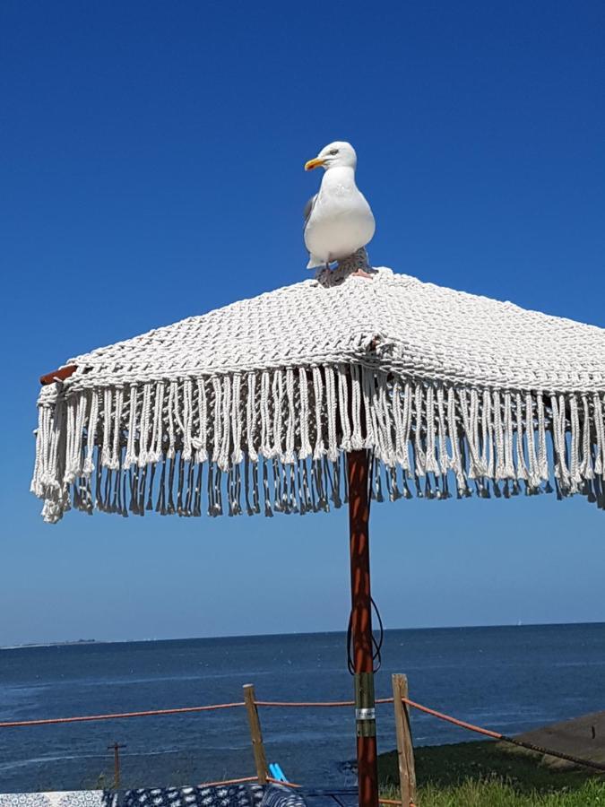 Romantisch Huisje Nabij Het Strand Met Uitzicht Op De Tulpenvelden Julianadorp Exteriér fotografie