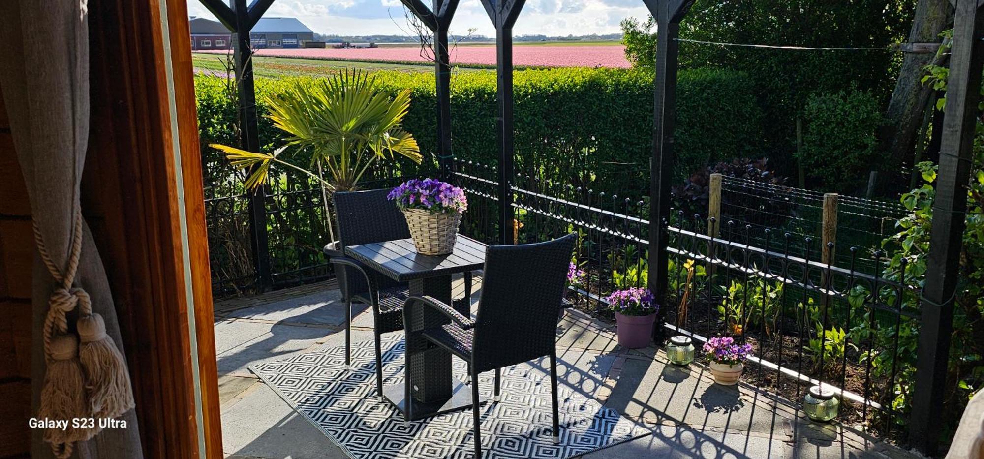 Romantisch Huisje Nabij Het Strand Met Uitzicht Op De Tulpenvelden Julianadorp Exteriér fotografie