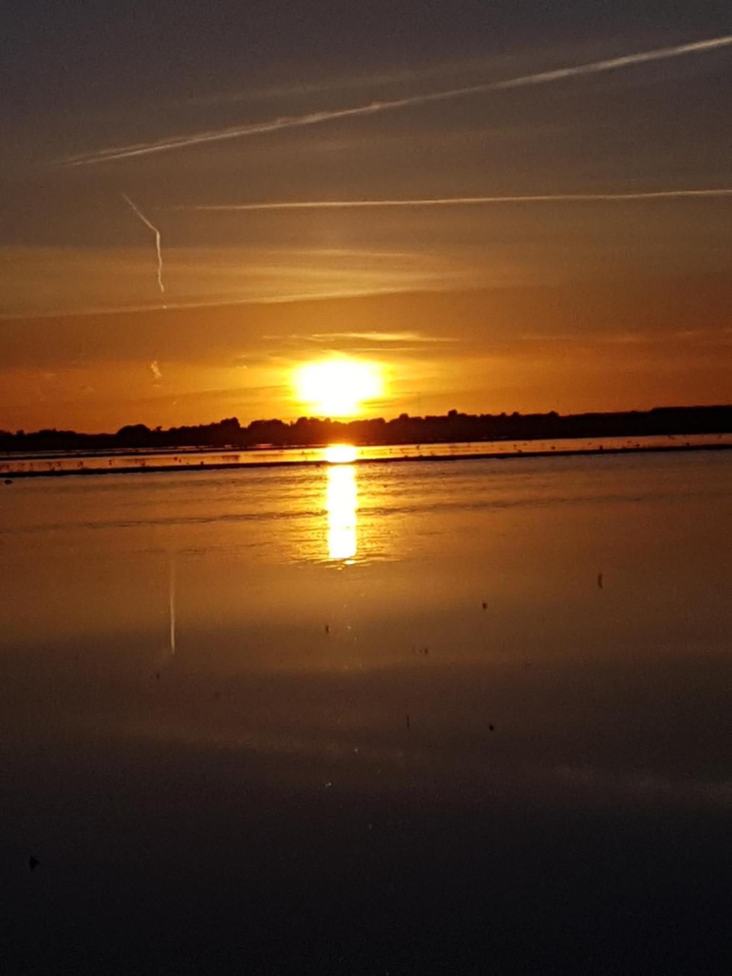 Romantisch Huisje Nabij Het Strand Met Uitzicht Op De Tulpenvelden Julianadorp Exteriér fotografie