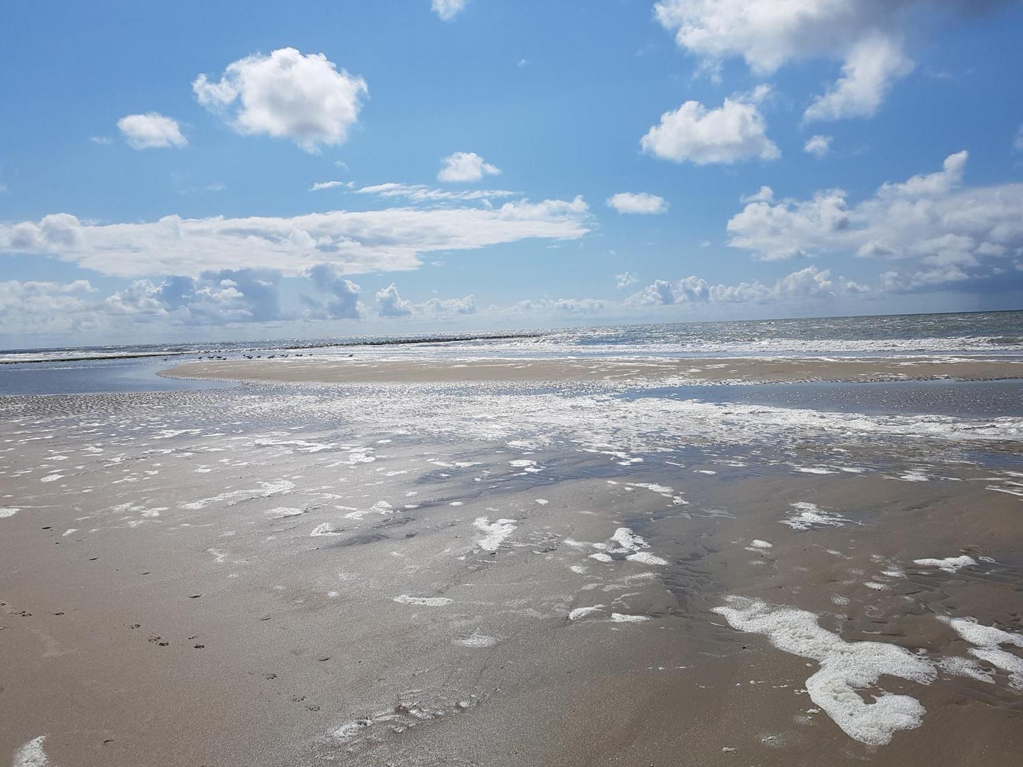 Romantisch Huisje Nabij Het Strand Met Uitzicht Op De Tulpenvelden Julianadorp Exteriér fotografie