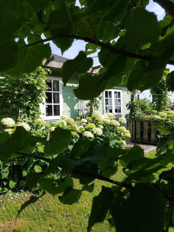 Romantisch Huisje Nabij Het Strand Met Uitzicht Op De Tulpenvelden Julianadorp Exteriér fotografie
