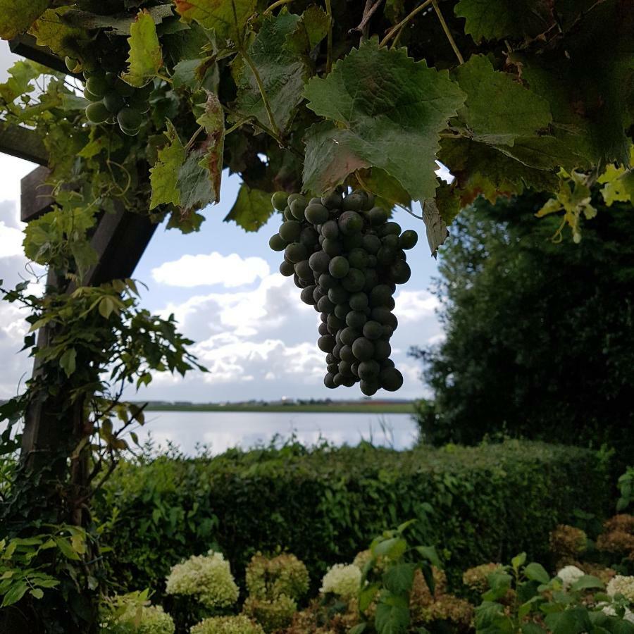 Romantisch Huisje Nabij Het Strand Met Uitzicht Op De Tulpenvelden Julianadorp Exteriér fotografie